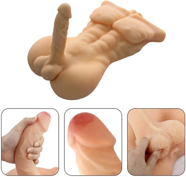 Torso Sexuel Homme